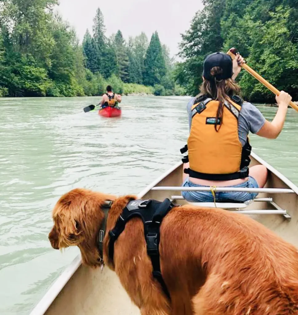 Kayak