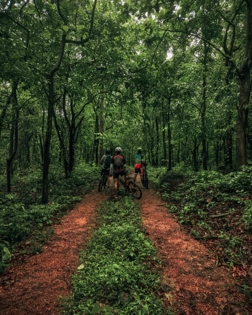 Whycomo mountainbike trail