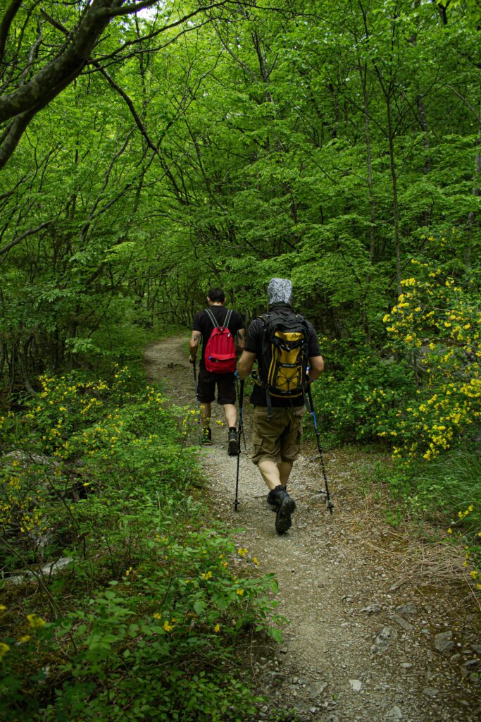 Whycomo hiking nel cuore del territorio