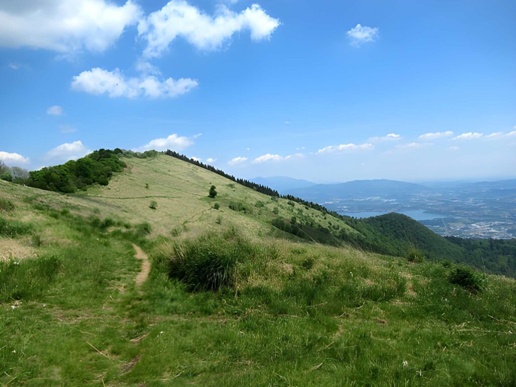 Monte bolettone